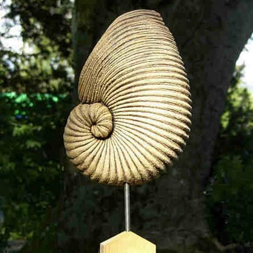 Nautilus